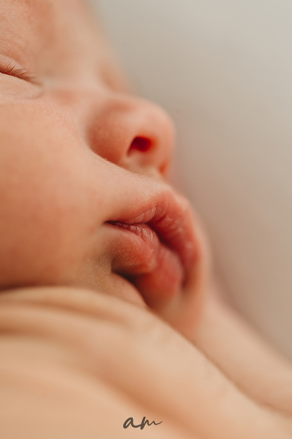 Sesión fotos bebé recién nacido en estudio en Madrid Newborn baby photo session in studio in Madrid Precio sesion newborn madrid